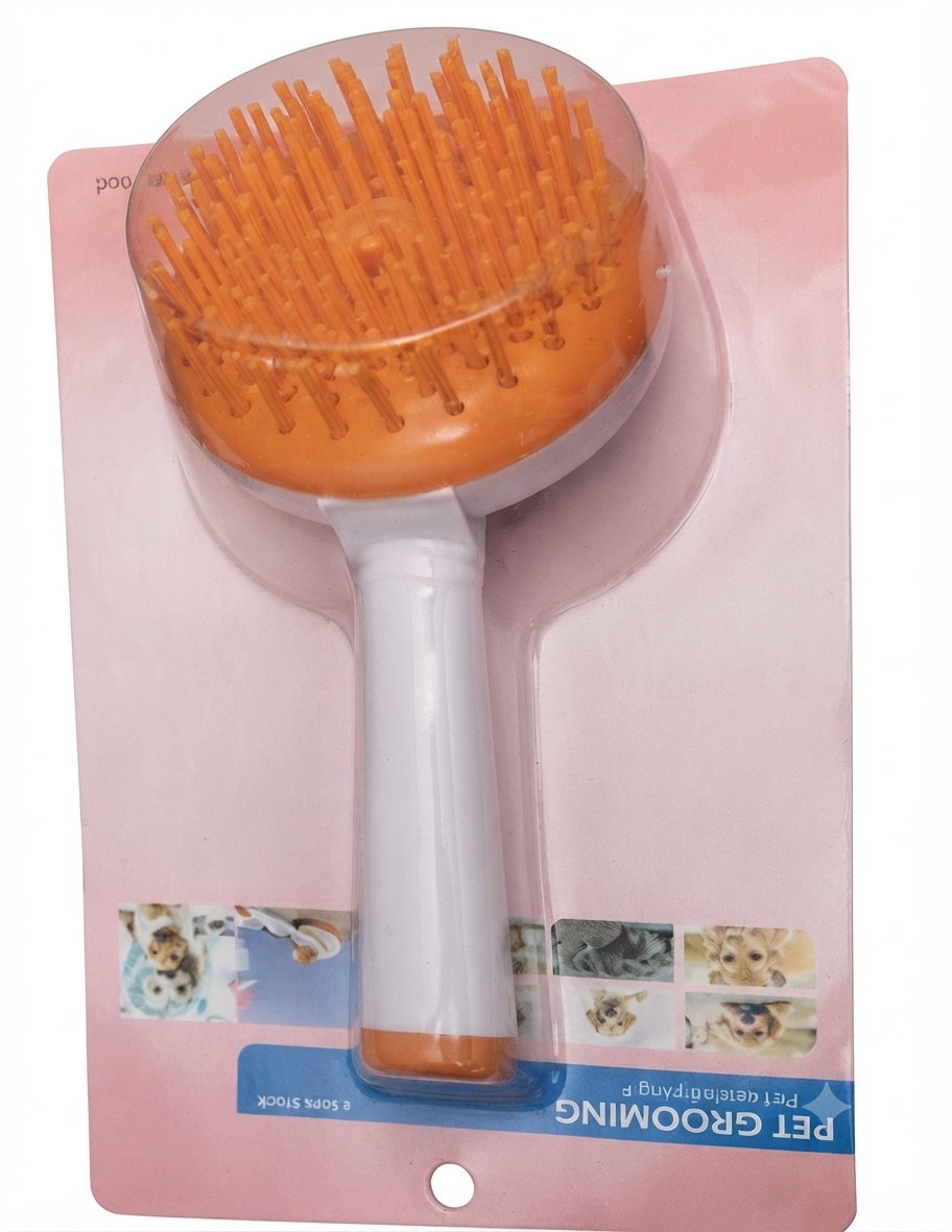 Imported Brush With Packijng S.L