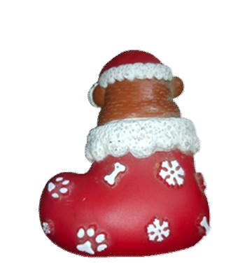 Santa Boot Toy image
