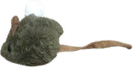 Cat Rat Stick image