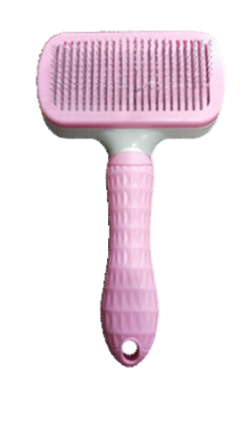 Button Brush Pink image