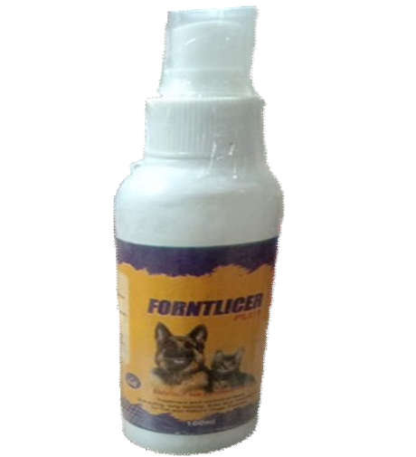 Fronlicer BnT Limited Time Offer image