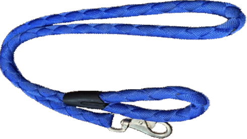 Imported Leash image