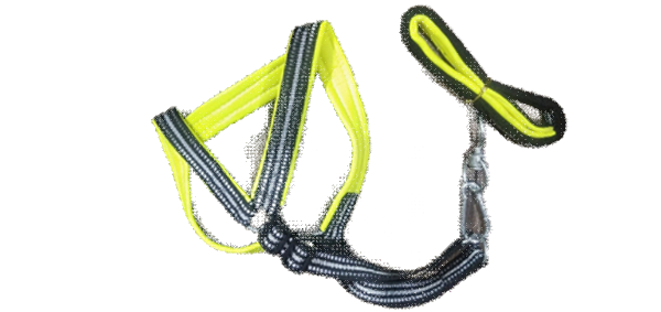 Super Quality Dog Harness With Foam image