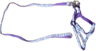 Imported Cat Harness (DH 105) image