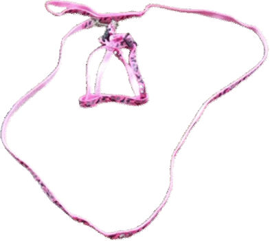 Imported Cat Harness (DH 101) B image