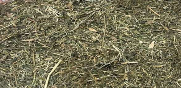 Hay dry AlfhaAlfha (Best for Rabbits & Live Stock) 1kg 20 kg Bag image