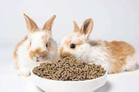 Rabbit Pellet Feed 40 kg Bag 1kg image