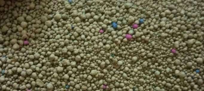 Open Cat Liter Lavender 4 flavours ( 25Kg Packing) image