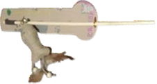 Imported Pet Stick image