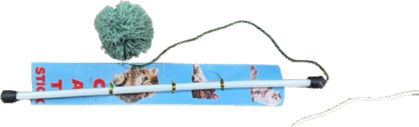 Pet Stick Local A image