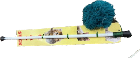 Pet Stick Local B image
