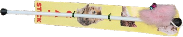 Pet Stick Local C image