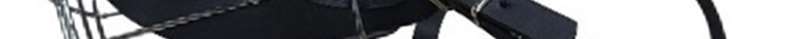 Iron Muzzle image