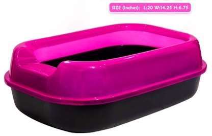 Oval Shape Tray With Cover (L) - P image