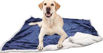 Pet Blanket image