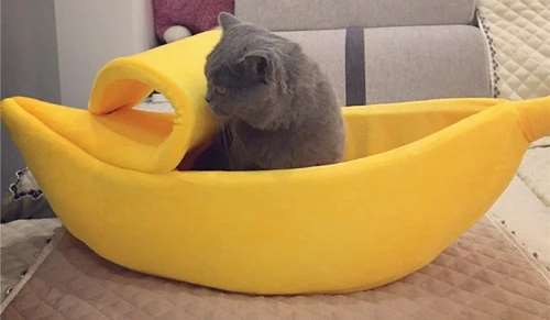 Banana Pet House image
