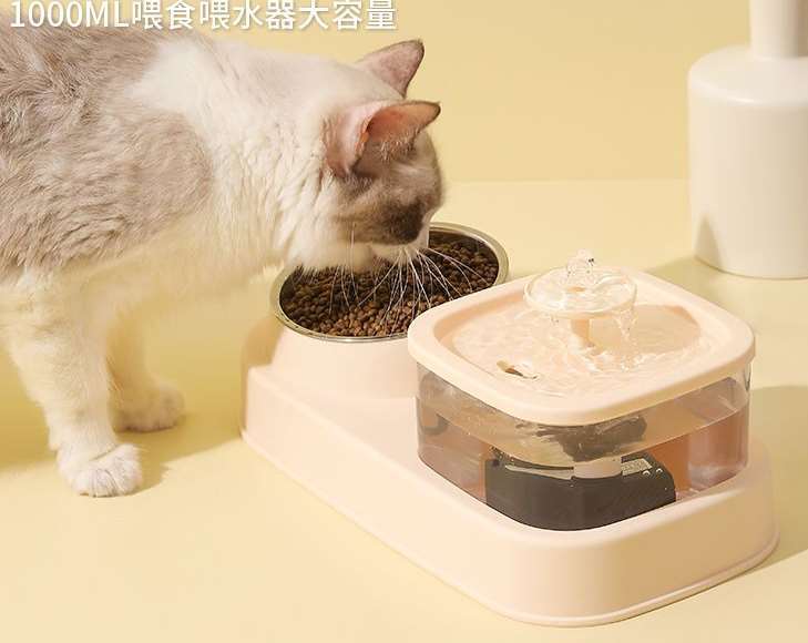 Square Fountain With Feeding Bowl image