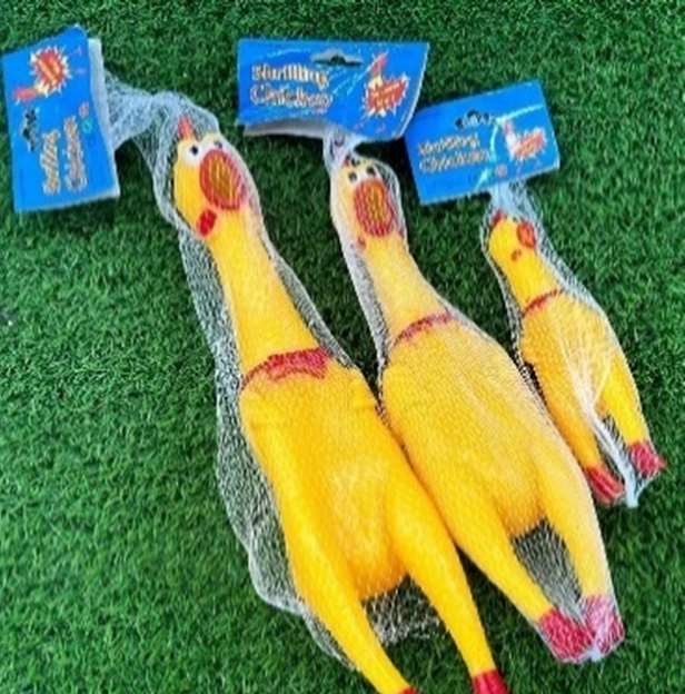 Hen Toy image