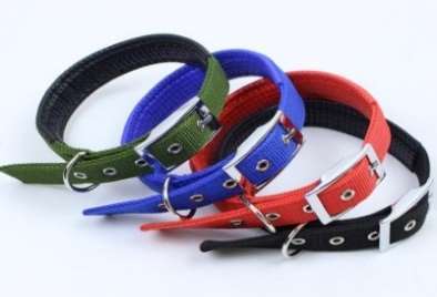 Soft Collar with Buckle image