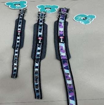 Multi colour Soft Collar With Buckle image