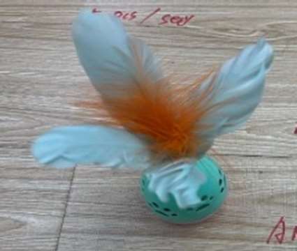 Ball With Feather Toy image