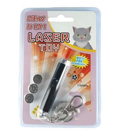 Cat Playing Laser HQ image