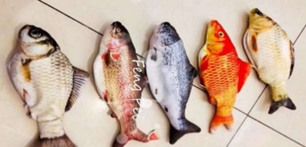 Vibrating Fish Toy image