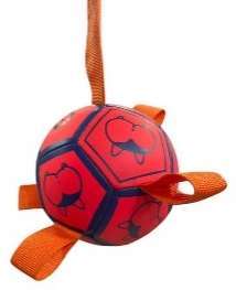 Football With Strip image