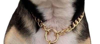 Cat Choke Chain Golden image