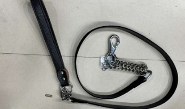 Square Leather leash High with Spring image