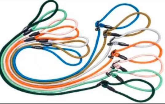 Lab Choke Leash Imported image