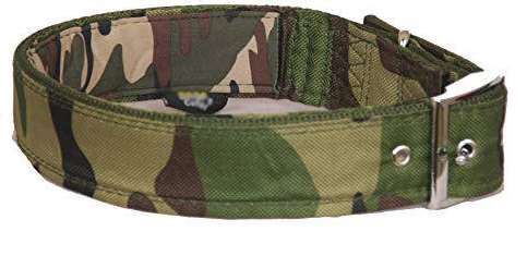 Army Printed Dog Collar image