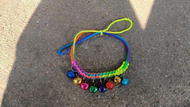 Multi Colour Pet Necklace image