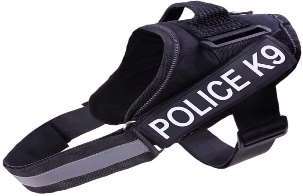 Police K9 Body Chester image