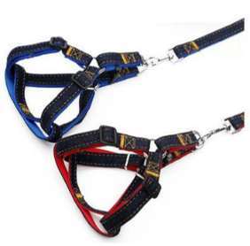 Jeans Harness image