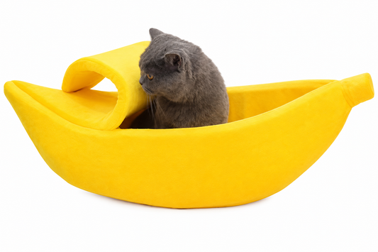 Banana Pet House