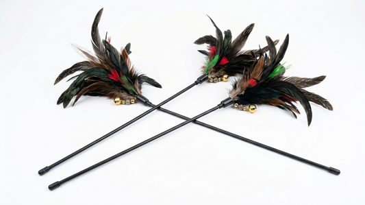 Birds Feather Stick