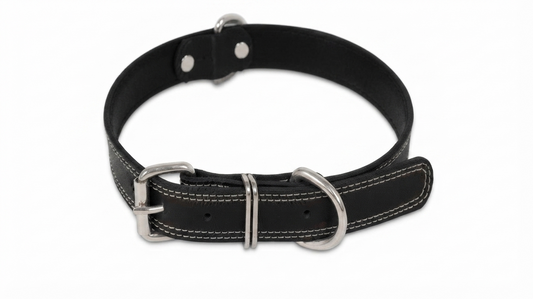 Black Leather Collar Imp
