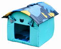 Cartoon House