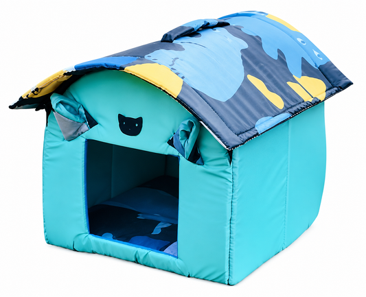 Cartoon House