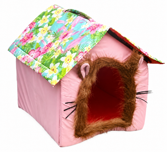 Cat Face House