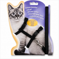 Cat Harness Simple Imp