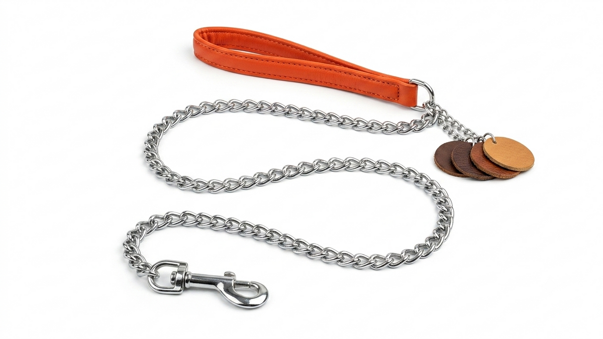 Chain Leash
