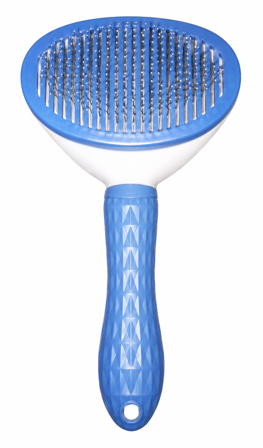 Button Brush Blue