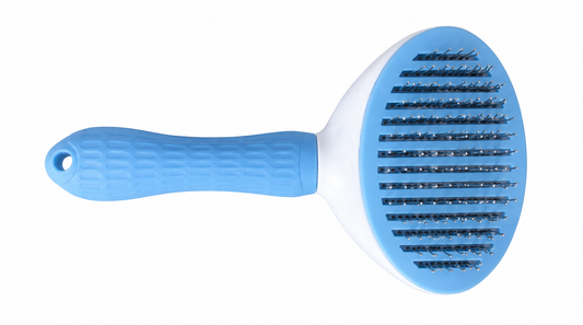 Button Brush Oval