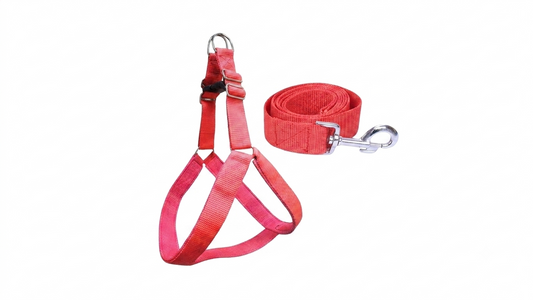 Dog Body Harness With Leash