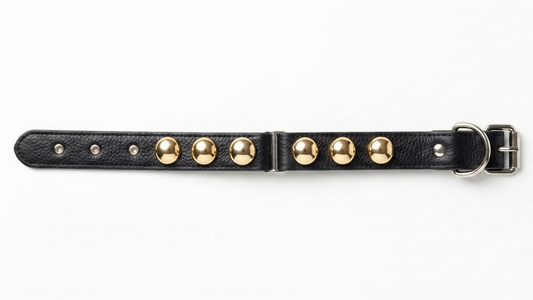 Dog Button Collar Classic