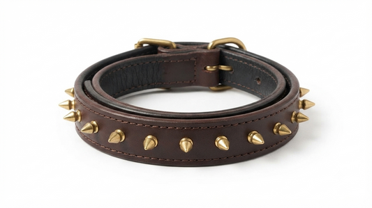 Dog Hook Collar 1 inch