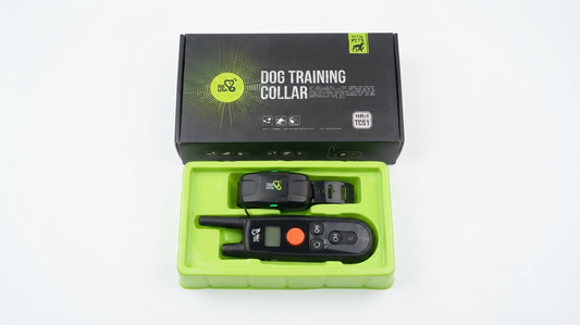 Dog Training Collar