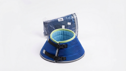E Collar 7